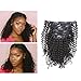 Lacerhair Kinky Curly Clip in Human Remy Hair Extensions Brazilian Kinky Coily Curly Clips Hair Extensions 4A 4B 8A Virgin Thick Natural Black Color Clip on For Black Women (16 inch, Kinky Curly 4A)