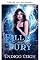 Livro Fúria caída (Guardiões de New Haven City Livro 2)