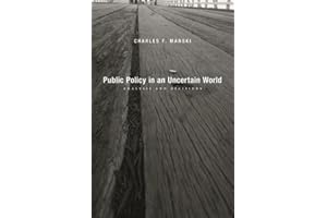 Public Policy in an Uncertain World: Analysis and Decisions