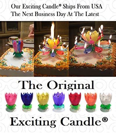 Multicolor Petal 14 Candelilla Rotating Music Birthday Candle (2 Pcs) (Colorful)