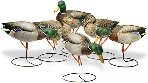 Final Approach FA Gunners Hd Field Mallard Decoys with Flocked Heads, 6 Pack