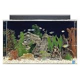 SeaClear 29 gal Show Acrylic Aquarium Combo Set, 30 by 12 by 18", Clear