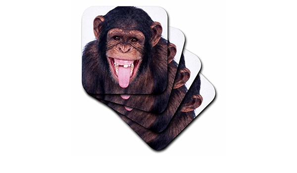 Tnmgraphics Animaux Singe Qui Rit Dessous De Verre Set Of 8 Ceramic Amazon Ca Maison Et Cuisine