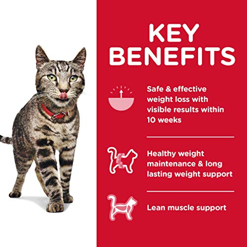 Hill's Science Diet Perfect Weight Cat Food - Image 5