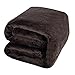 Shilucheng Luxury Fleece Blanket Super Soft and Warm Fuzzy Plush Lightweight Throw Couch Bed Blankets Mini Size 43