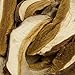 Seweryn Dried Porcini Mushrooms King Boletus Polish (Borowik Shlachetny) Sliced 20gr(0.7oz)