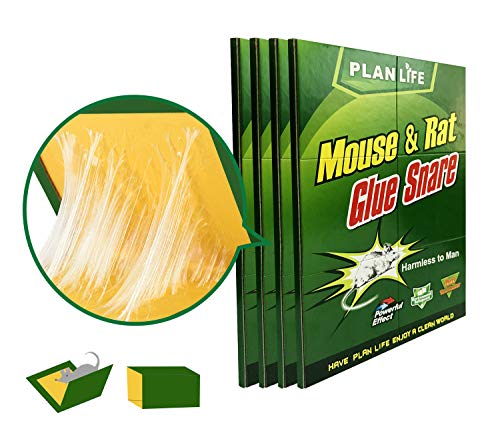 Mouse Glue Trap, Irresistible Peanut Butter Scented Folding Large Rat Glue Pads, Super Sticky Glue Board Traps for Mice, Rats, Cockroaches, Flies, Mosquitos, Bugs, Spiders, Scorpions, Ants - Pack of 4