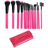 DRQ Makeup Brushes 16 Piece Studio Pro Makeup Make Up Cosmetic Brush Set Kit With beautiful Crocodile Case (HotPink)