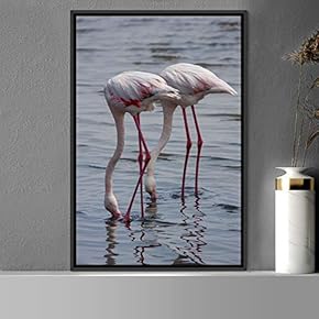 signwin Framed Canvas Wall Art Group of Birds...