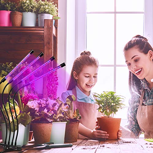 OxyLED Plant Grow Light, 36W Four Head 80 LED Plant Grow Lights for Indoor Plants with Red Blue Spectrum, Adjustable Gooseneck, 3/6/12H Timer, Clip-On Desk Growing Lamp with 5 Dimmable Levels