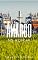 Livro O Amargo do Açúcar