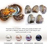 Hot Sale Gift! AMA(TM) 10Pcs 7-8mm Oysters with Large Oval Pearl inside Birthday Gifts