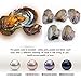 Hot Sale Gift! AMA(TM) 10Pcs 7-8mm Oysters with Large Oval Pearl inside Birthday Gifts