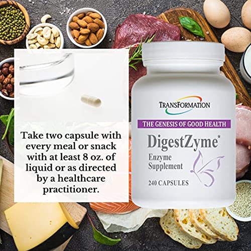 Transformation Enzymes DigestZyme Support Digestion During Pregnancy
