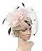 Urban CoCo Women's Bow Feather Net Veil Fascinator Hair Clip Bridal Hat (#3-Nude Pink)