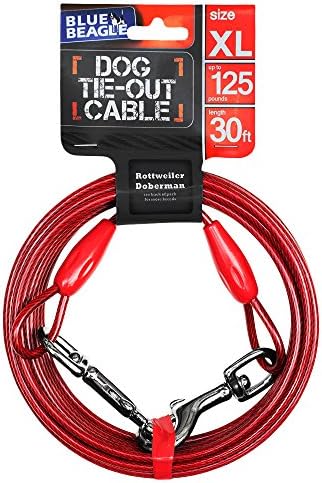Blue Beagle XLarge Reflective Tie-out Cable - Perfect for Dogs Up to 125 Pound - 30 Feet