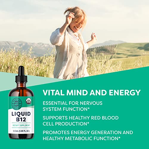 Vimergy USDA Organic Liquid Vitamin B12 Supplement 2500 mcg, Methylcobalamin & Adenosylcobalamin – Energy Support, Vegan, Non-GMO B12 Vitamins for Women & Men 115 Serving (115 mL)