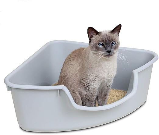 xxl travel dog crate