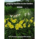 Judging Daylilies in the Garden
