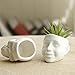 Berry President Skull Flower Pot, White Ceramic Skull Capita Planter, Succulent Plants Pots Potted for Desktop Ornaments Office Decor, paperclips Storage, Small Object Storage Containers (2 Pots)