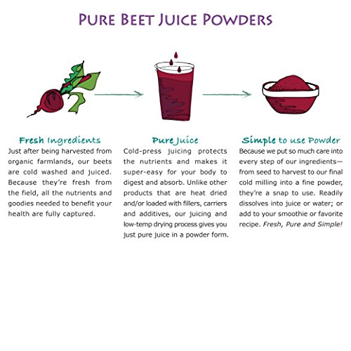 Pure Synergy USDA Organic Beet Juice Powder (6.35 oz) w/Naturally Occurring Nitrates, Non-GMO