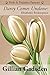 Darcy Comes Undone: Elizabeth's Redemption (Pride & Prejudice Passions Book 3)
