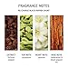 Molton Brown Recharge Black Pepper Sport 4-in-1 Body Wash, 6.6 Fl oz