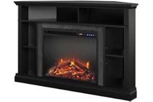Ameriwood Home Overland Fireplace TV Stand for TVs up to 50 Inch, Replaceable Electric Fireplace Insert Heater, Remote Control, Timer, Realistic Log and Flame Effect, Black
