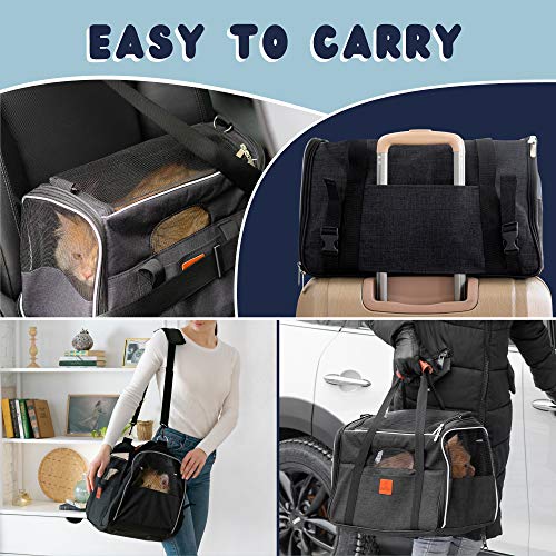 small soft sided pet carrier
