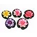 BARGAIN HOUSE Artificial Floating Foam Lotus Flower Pond Decor Water Lily 5pcs