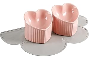 HCHLQLZ Elevated Cat Food Bowl Set - Double Tilted Cat Bowls with Non Slip Mat - Raised Ceramic Cat Bowl Set - Cute Wide Cat Feeding Bowls Whisker Friendly - Tall Cat Dishes Anti Vomiting - Pink & Pink