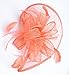 Womens Formal Party Fascinator Hat with Headband for Cocktail Watermelon Red