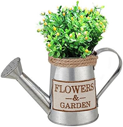 Small Ancient Metal Flower Plant Pot Vases Decorative --- HakkaGirl Rustic Galvanized Jug Pitcher Watering Planter for Home Decor/Artificial/Indoor/Outdoor