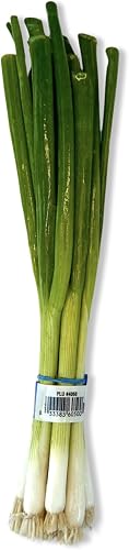Cebollines (cebollas verdes), 1 manojo — Frutas y verduras