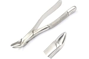DDP Dental Extracting Forceps 101 Dental Instruments