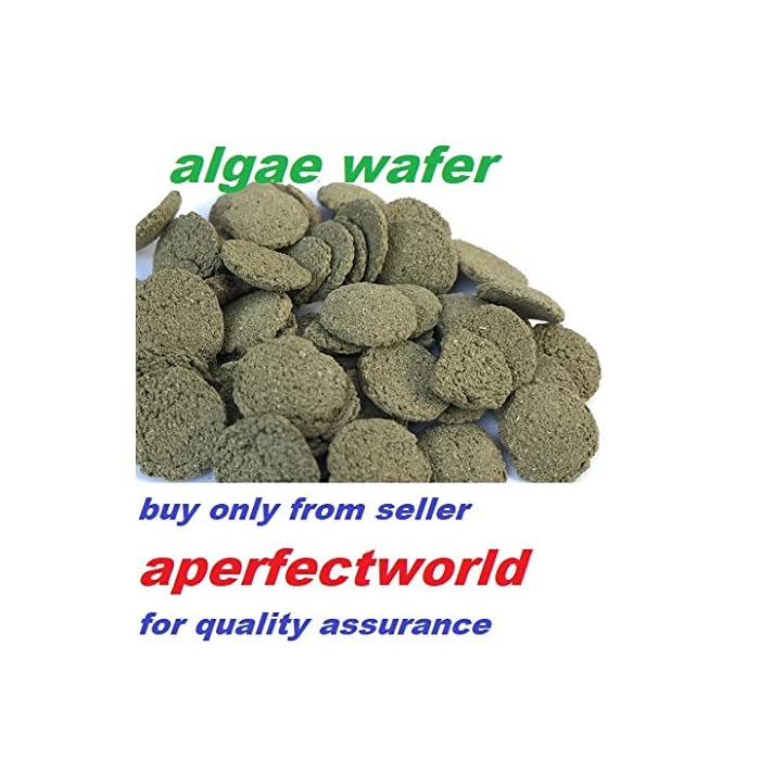 Buy aPerfectworld Spirulina Algae Wafer Tablet 100Gram 5KG Tropical