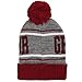Bioworld Harry Potter Gryffindor Pom Pom Unisex Adult Beanie Multi