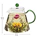 Teabloom Blooming Oasis Teapot - 34 oz Borosilicate Glass Teapot, Glass Tea Infuser, 2 Blooming Teas - Thermal Shock Resistant - Stovetop, Microwave, Dishwasher Safe