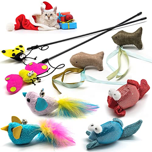 SeaMorn Feather Toys-8: Interactive Cat Toys for Playing, Chewing, Grinding, Claw Teeth Cleaning - Indoor/Outdoor, Kitten & Adult