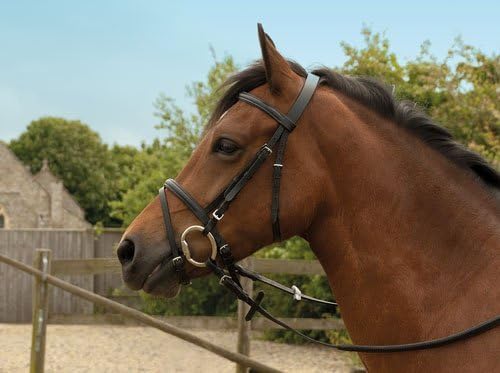 Windsor Equestrian Horses Leather Bridle Black Full by Windsor Equestrian Products