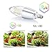 Rayhoo E12 Base LED Candelabra Light Bulbs Dimmable, 10 Watts Incandescent 80-100W Bulb Equivalent, Cool White 6000K, 3 Pack