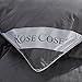 ROSECOSE Luxurious All Seasons Goose Down Comforter Queen Size Duvet Insert Gray Stripe 1200 Thread Count 750+ Fill Power 100% Cotton Shell Hypo-allergenic Down Proof with Tabs (Queen,Gray Stripe)