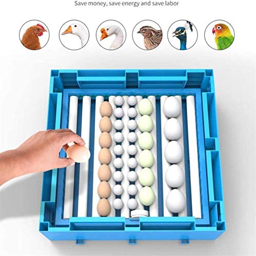 CHICTI Brutmaschine Vollautomatisch Hühner 320 Eier Temperatur Und Feuchtigkeitsregulierung LED-Kerze Für Chicken Duck… – Bild 5