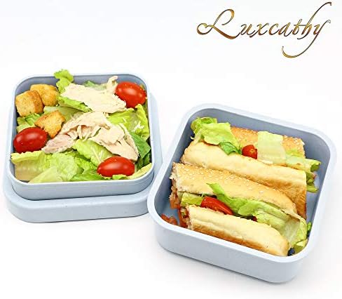 Luxcathy Natural Bamboo Fiber Airtight Leakproof 2-Layer Lunch Box for Adults or Kids (Pink Blue, 500-800ML)