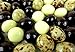 Cuckoo Luckoo Gourmet Chocolate Espresso Beans Blend, 1 lb Bag in a BlackTie Box
