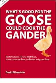 What's Good for the Goose Could Cook the Gander: David Silverstein