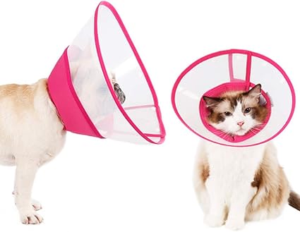 padded e collar for dogs