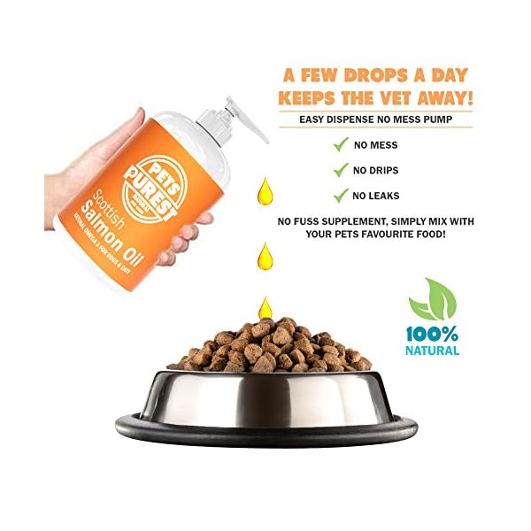 Pets-Purest-Scottish-Salmon-Oil-For-Dogs-Cats-Horses-Ferrets-Pets-100-Pure-Premium-Food-Grade-Natural-Omega-3-6-9-Supplement-Promotes-Coat-Skin-Joint-and-Brain-Health-500-ml Pets Purest Scottish Salmon Oil For Dogs, Cats, Horse, Ferret & Pet - Pure Omega 3, 6 & 9 Fish Oil Food Treats…