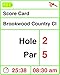 Puksic IZZO Swami 4000+ Golf GPS