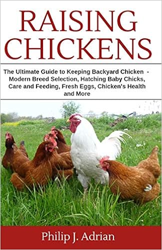 Raising Chickens The Ultimate Guide To Keeping Backyard Chickens